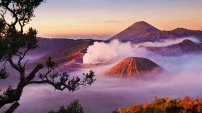 Bali to Yogya: Bromo, Ijen, Tumpak sewu, Prambanan,Borobudur - Ijen crater and blue fire sunrise: what the early start is really for