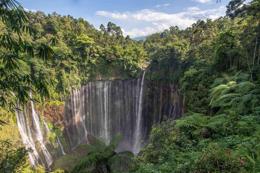 Bali to Yogya: Bromo, Ijen, Tumpak sewu, Prambanan,Borobudur - Tumpak Sewu waterfall: the most beautiful falls day, with local guidance