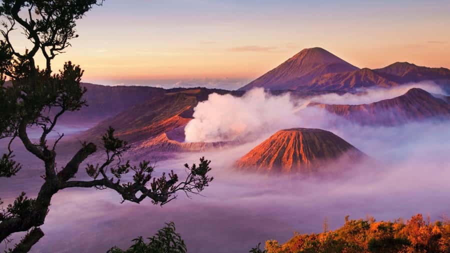 Bali to Yogya: Bromo, Ijen, Tumpak sewu, Prambanan,Borobudur - Ijen crater and blue fire sunrise: what the early start is really for