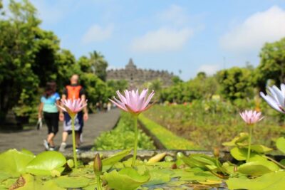 Borobudur Temple Combined Ticket Admissions - Bunker Kaliadem Merapi: swap stairs for a jeep ride