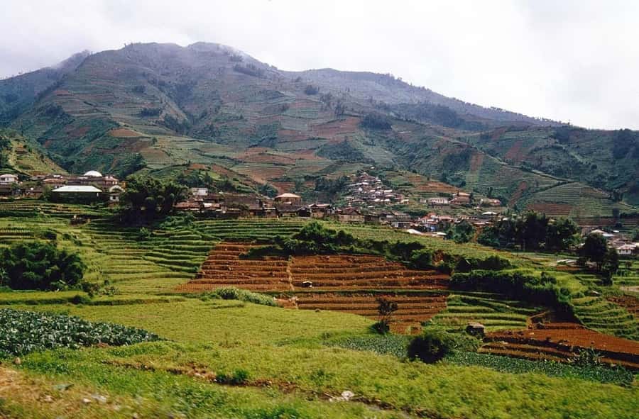 From Yogyakarta : Dieng Plateau Fullday Tour - Color Lake: the quick stop that still feels worth it