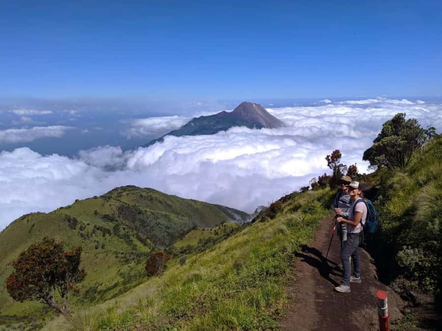 From Yogyakarta: Mount Merbabu One Day Hiking Tour - Summit Time: Merapi Volcano in View and the Java Panorama
