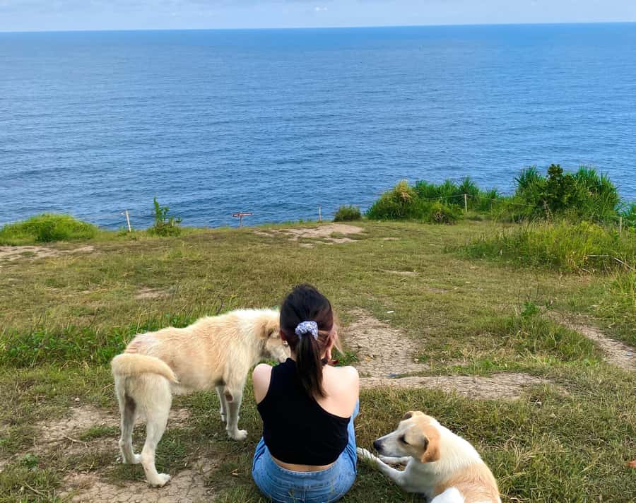 From Yogyakarta: Pengilon Hill and Hidden Beach - Southern Yogyakarta’s best pair: Pengilon Hill cliff views and Siung Beach time