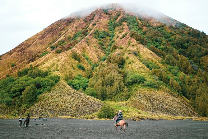 From Yogyakarta to Bali : Bromo and Kawah Ijen in 3 Day Adventure - Key Highlights You’ll Actually Care About