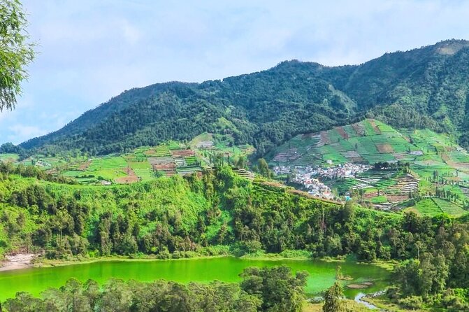 Full-Day Adventure: Tea Plantation & the Mystical Dieng Plateau - Sikatok Tea Garden: Walk the Fields and Try Picking Leaves