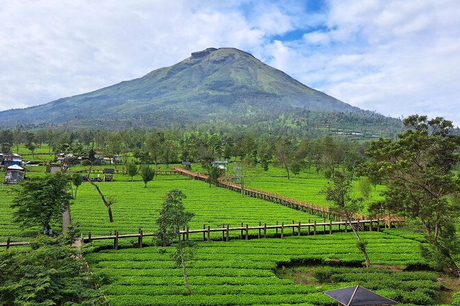 Full-Day Adventure: Tea Plantation & the Mystical Dieng Plateau - Price and Value: What $68 Really Buys