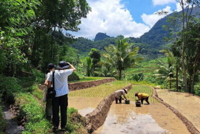 Hidden Waterfall & Selogriyo Rice Terraces Trek from Yogyakarta - Getting to the sites: timing, pickup, and what a “small group” changes
