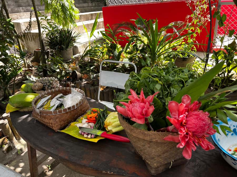 Indonesian Cooking Class in Yogyakarta - A 5-hour Javanese cooking class in Yogyakarta’s home garden