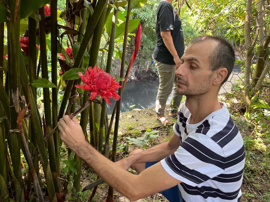 Indonesian Cooking Class in Yogyakarta - Garden harvest: where you learn what you’re cooking