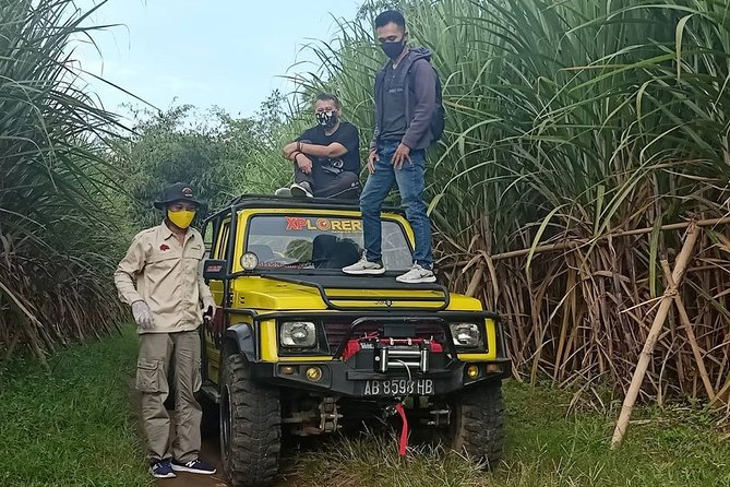 Jeep Parang Menoreh Adventure Borobudur - Nglinggo Tea Plantation: a calm start with great “pause” photos