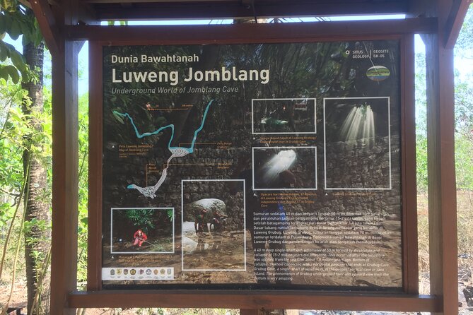 Kediwung Sunrise, Jomblang Cave, Timang Gondola Beach Day Tour - Bukit Panguk Kediwung sunrise: how the 1.5 hours on the hill pays off