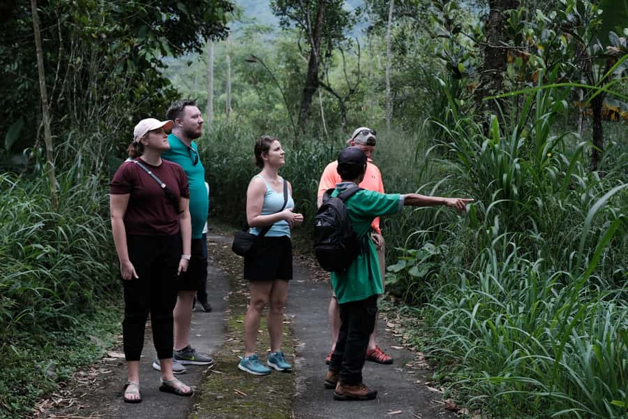 Mt. Merapi Majesty: Soft Trek and Botanic Village Tour - A Gentle Merapi Trek From Yogyakarta (Without the Summit Pressure)