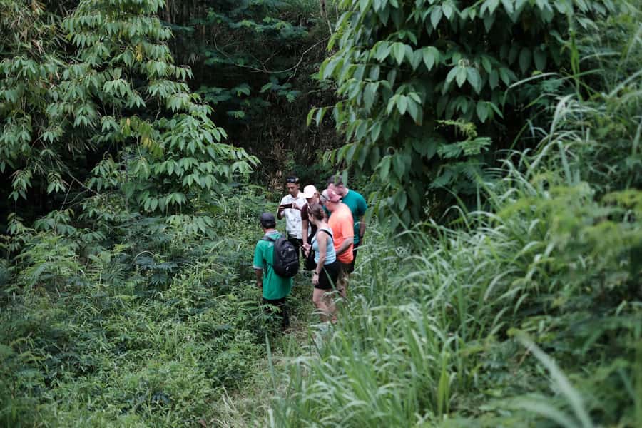 Mt. Merapi Majesty: Soft Trek and Botanic Village Tour - Traditional Village Stop: Community Life, Guided Visits, and Safety First