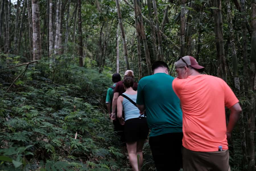 Mt. Merapi Majesty: Soft Trek and Botanic Village Tour - Merapi Views, Pine Forest Sounds, and Real-World Timing
