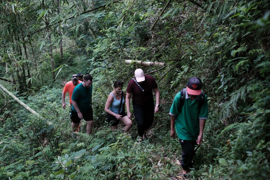 Mt. Merapi Majesty: Soft Trek and Botanic Village Tour - FAQ