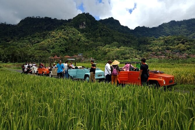 Private Borobudur Village Trip By Volkswagen Safari - Weather and Comfort: The Small Stuff That Affects the Day