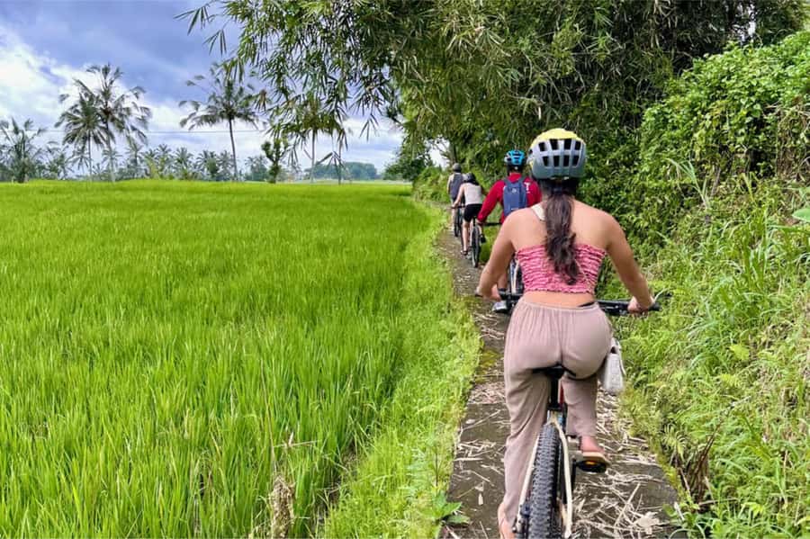 Yogyakarta: 3-Hour Bike Tour Through Villages with Transfers - Key Points Before You Go