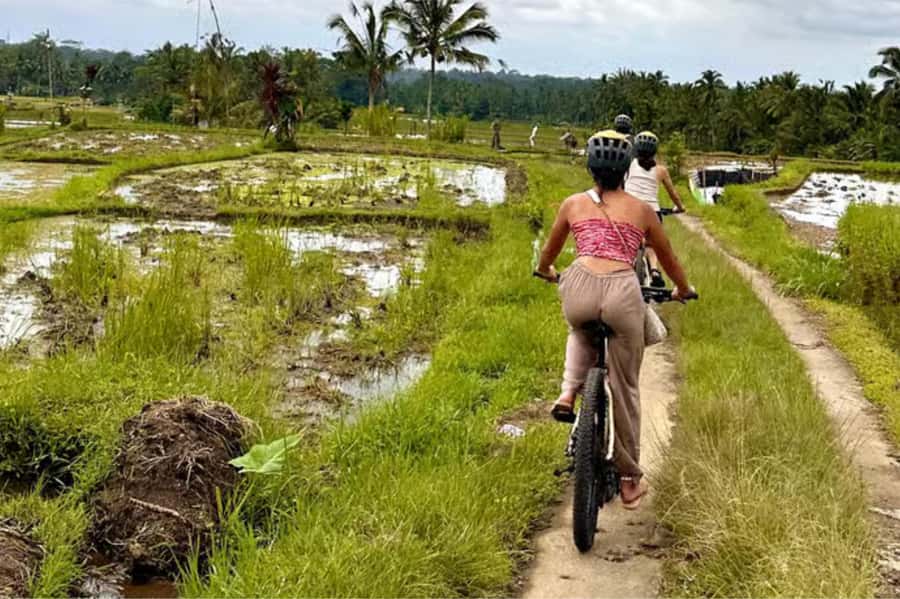 Yogyakarta: 3-Hour Bike Tour Through Villages with Transfers - How This 4-Hour Village Bike Ride Actually Feels