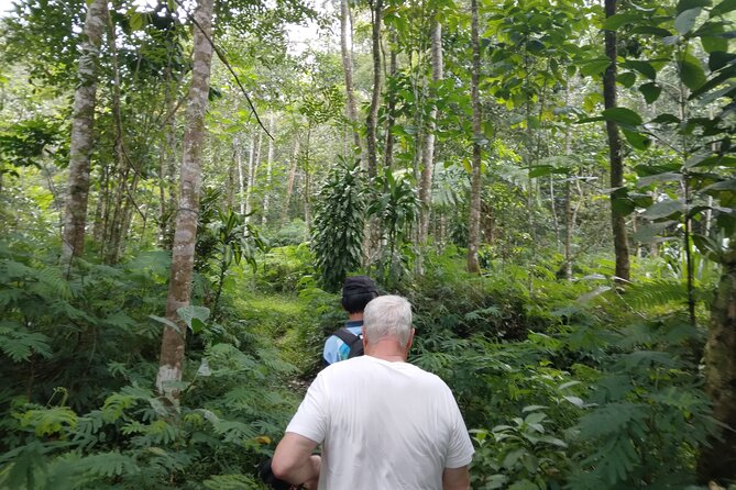 Yogyakarta Countryside Walking Tour - Merapi Views and Weather: How to Plan So You Still Enjoy It