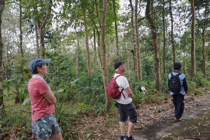 Yogyakarta Countryside Walking Tour - Price and Value: Private for Up to 4, Not Per Person (Usually)