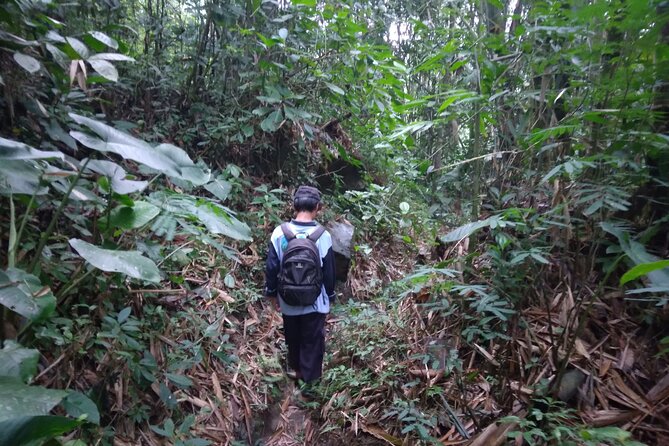 Yogyakarta Countryside Walking Tour - Plawangan Turgo: Agroforestry and Village Walking Near Mt. Merapi