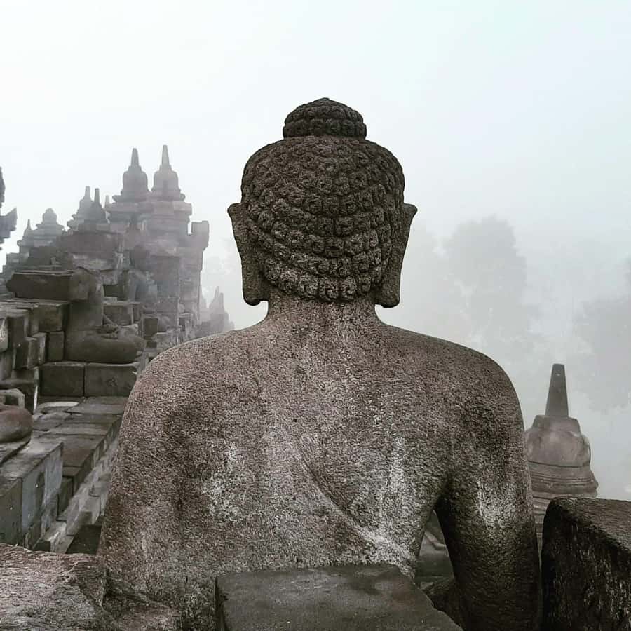 Yogyakarta Experience one day tour Borobudur and Prambanan - Borobudur: Largest Buddhist Monument, With Real Walking and Real Steps