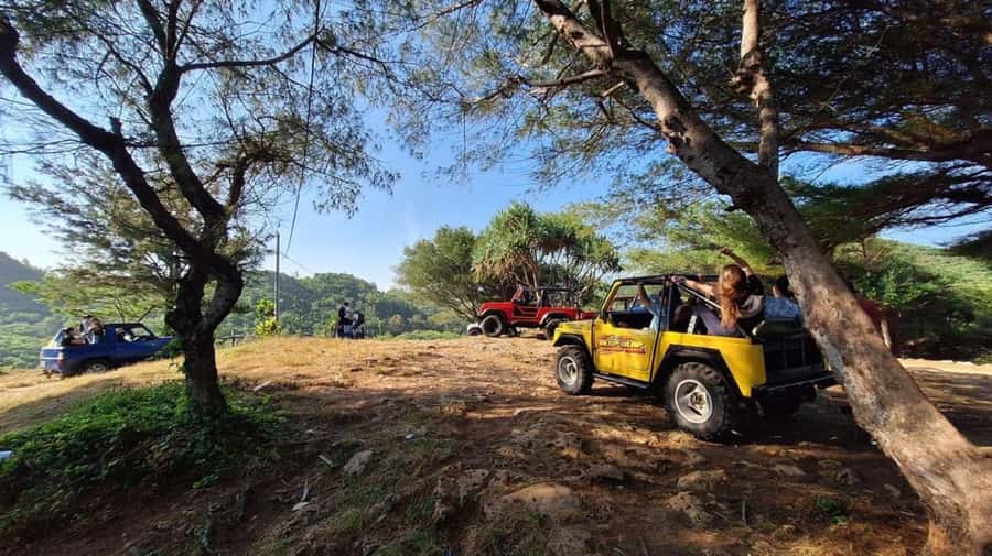 Yogyakarta: Explore Pindul Cave, Oyo River & Timang Beach - Key Highlights Worth Planning Around