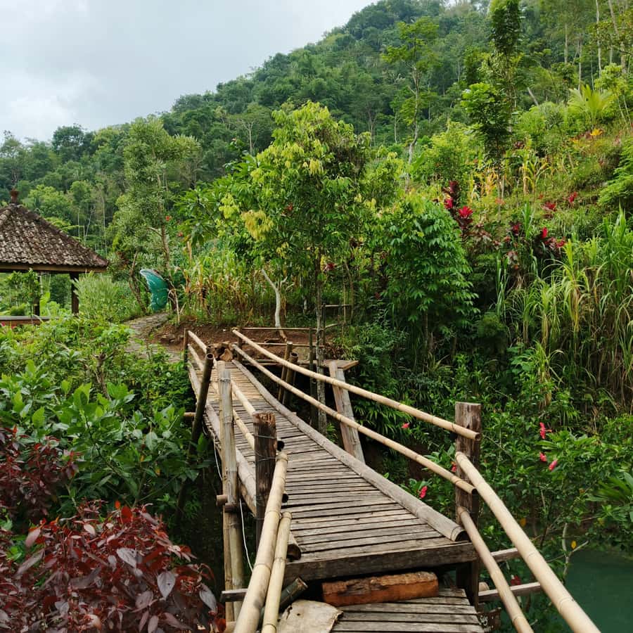 Yogyakarta: Hidden Paradise of Yogyakarta Waterfall & Swim - Goa Seplawan cave: stalactites, stalagmites, and a statue story