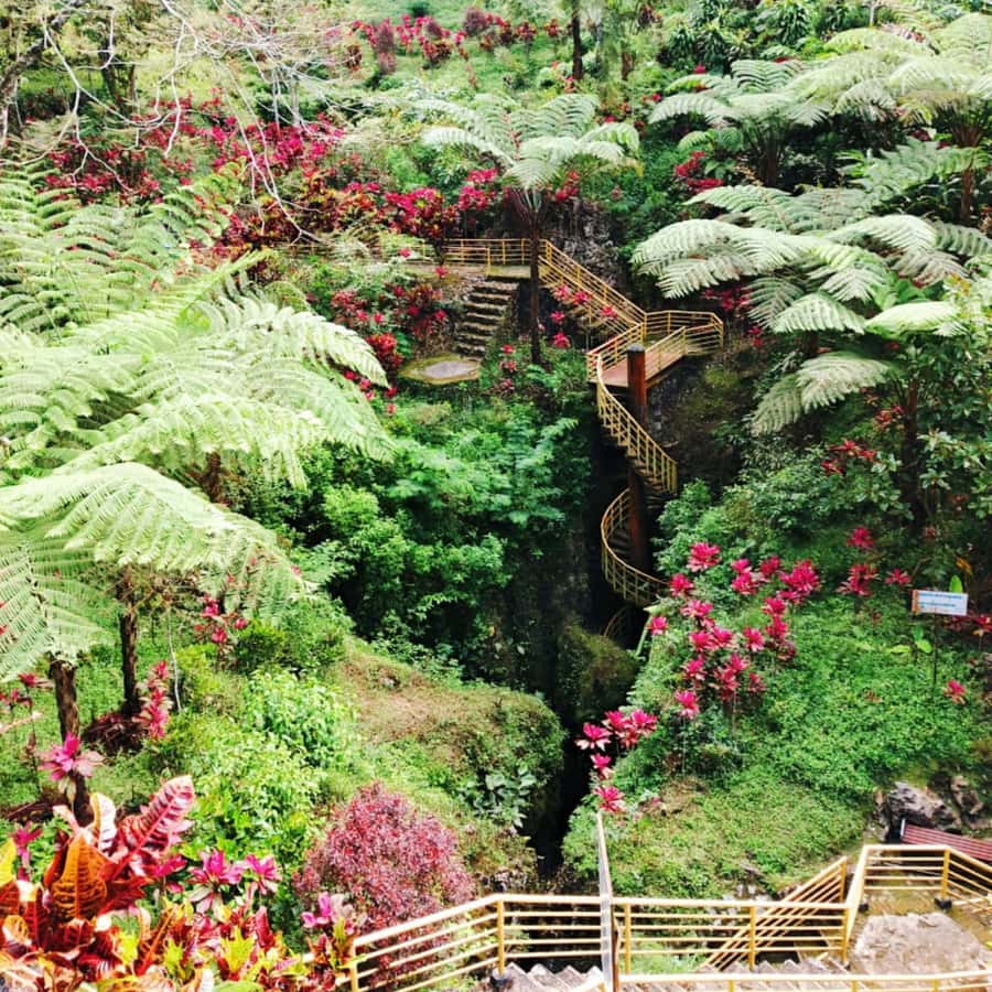 Yogyakarta: Hidden Paradise of Yogyakarta Waterfall & Swim - Who should book this tour, and who should skip it