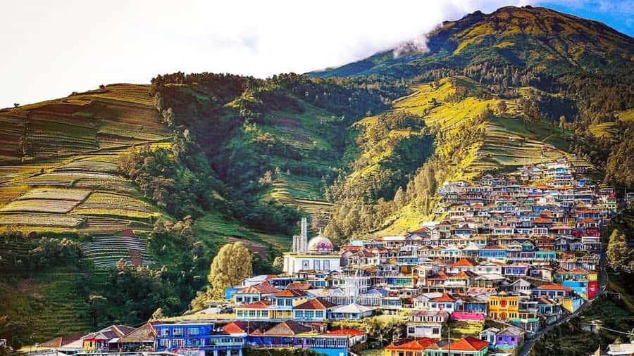 Yogyakarta : Nepal Van java & Kedung Kayang waterfall trip - Quick decision guide: should you book Nepal Van Java and Kedung Kayang?
