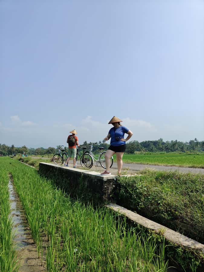 Yogyakarta: Tailor-Made Private Car Rental With Driver - Yogyakarta royal and cultural stops: Kraton, Tamansari, Sonobudoyo