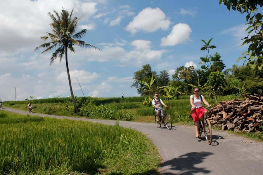 Yogyakarta: Traditional Village Bicycle Tour with Transfer - Transfer Back to Yogyakarta: Wrap Up Smoothly