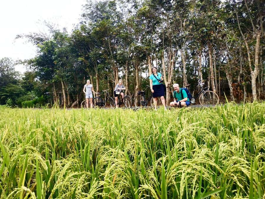 Yogyakarta: Traditional Village Bicycle Tour with Transfer - Key Points You’ll Care About
