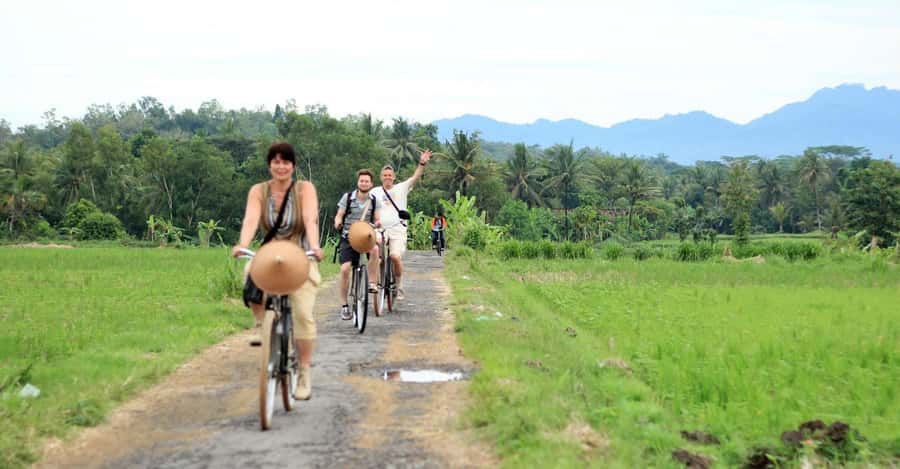 Yogyakarta: Traditional Village Bicycle Tour with Transfer - Price and Logistics: What You’re Really Paying For