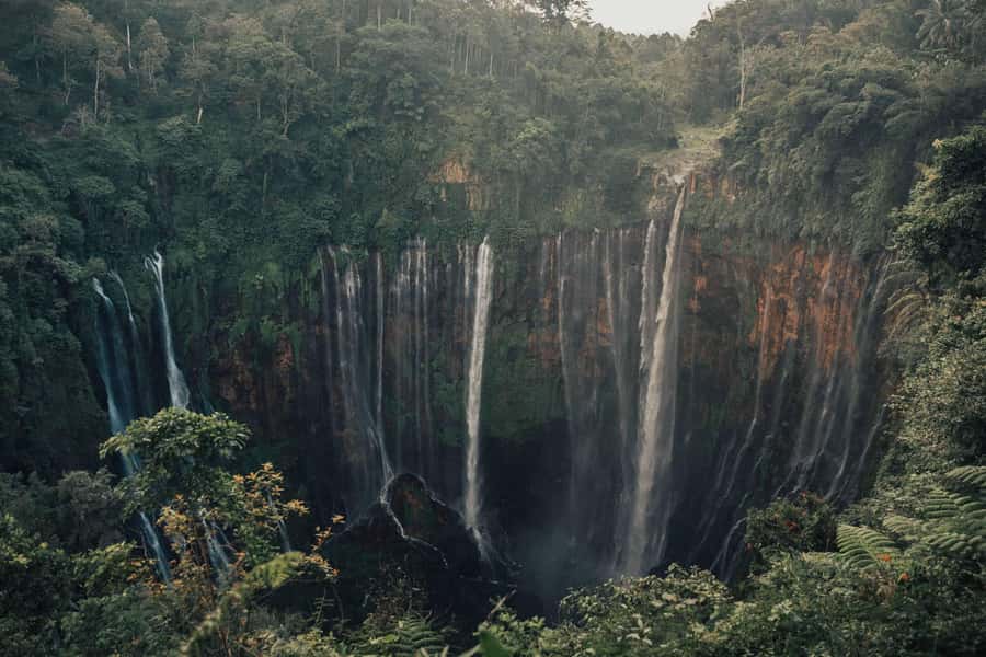 Yogyakrta to bali:Borobudur,prambanan,bromo,ijen,tumpak sewu - Who should book this Java-to-Bali route (and who should think twice)